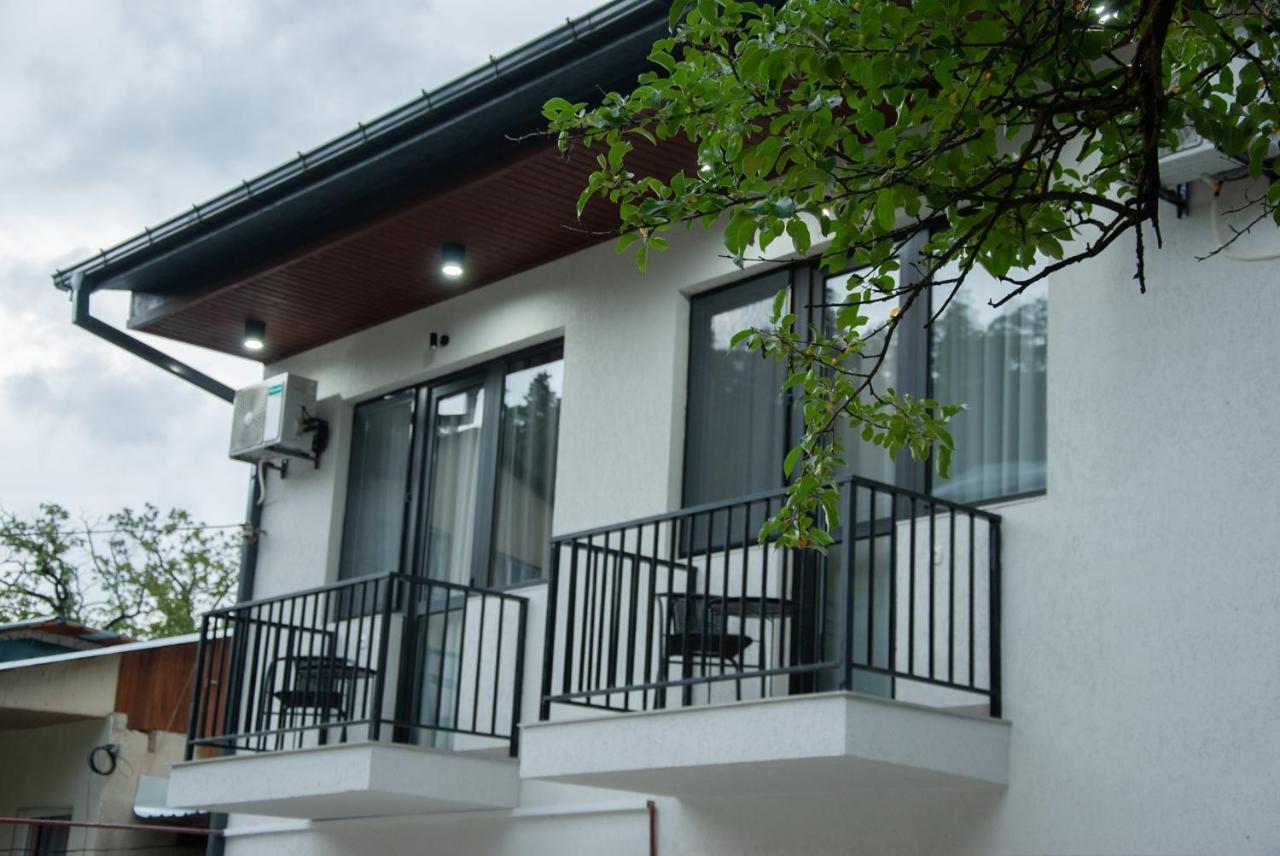 Likani Home Borjomi Dış mekan fotoğraf