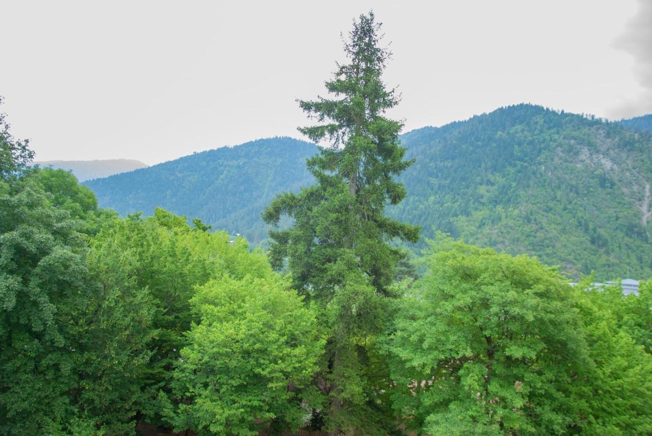 Likani Home Borjomi Dış mekan fotoğraf