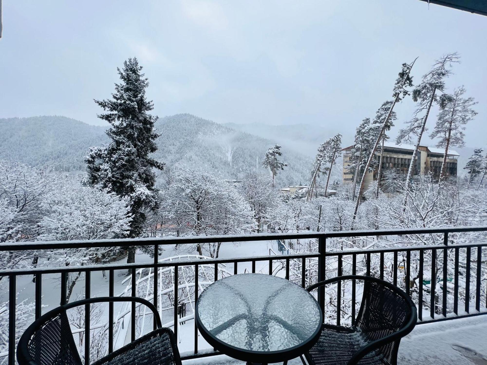 Likani Home Borjomi Dış mekan fotoğraf